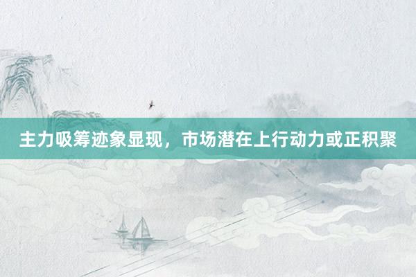 主力吸筹迹象显现，市场潜在上行动力或正积聚