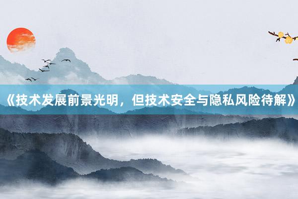 《技术发展前景光明，但技术安全与隐私风险待解》