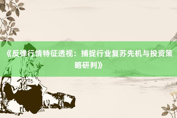 《反弹行情特征透视：捕捉行业复苏先机与投资策略研判》