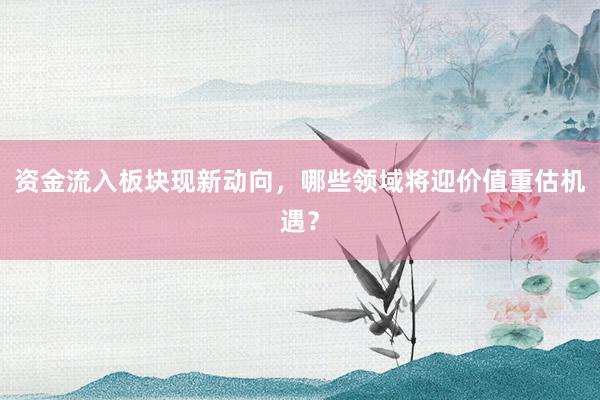 资金流入板块现新动向，哪些领域将迎价值重估机遇？