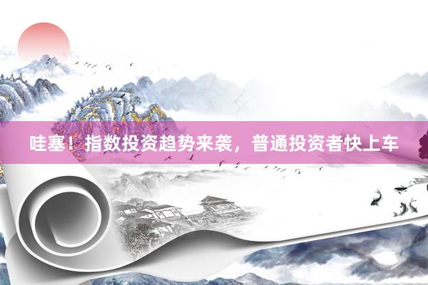 哇塞！指数投资趋势来袭，普通投资者快上车