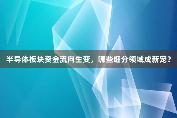 半导体板块资金流向生变，哪些细分领域成新宠？