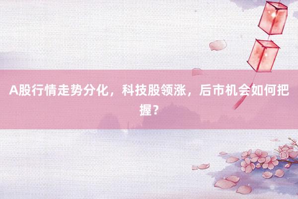 A股行情走势分化，科技股领涨，后市机会如何把握？