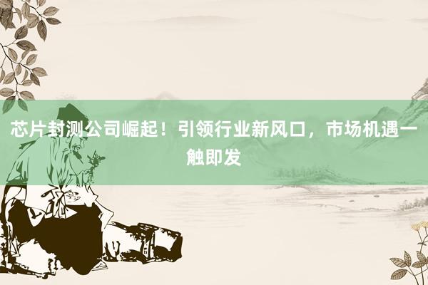 芯片封测公司崛起！引领行业新风口，市场机遇一触即发