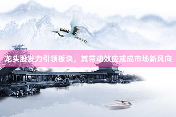 龙头股发力引领板块，其带动效应或成市场新风向
