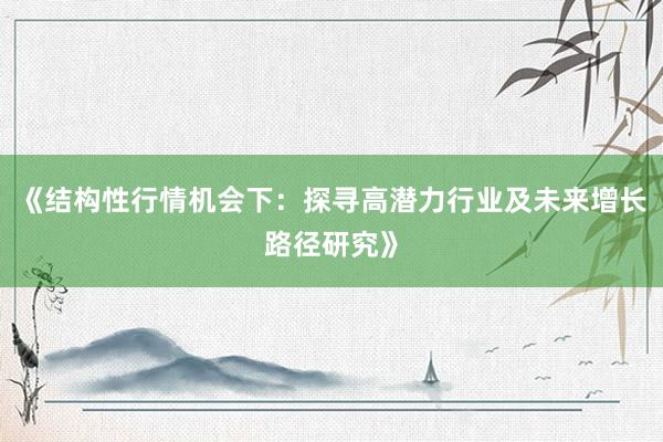 《结构性行情机会下：探寻高潜力行业及未来增长路径研究》