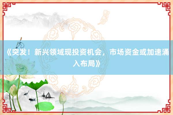 《突发！新兴领域现投资机会，市场资金或加速涌入布局》