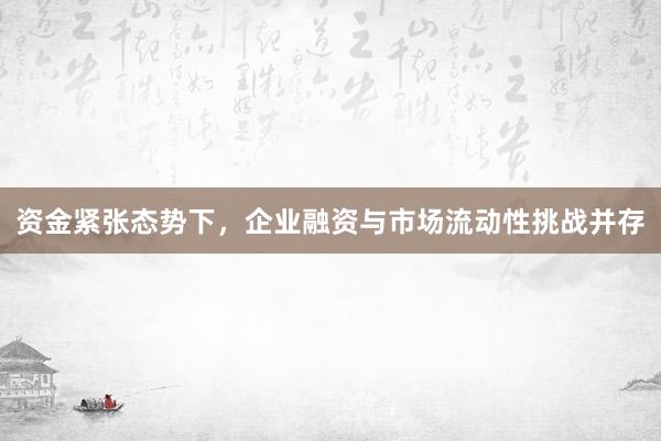 资金紧张态势下，企业融资与市场流动性挑战并存