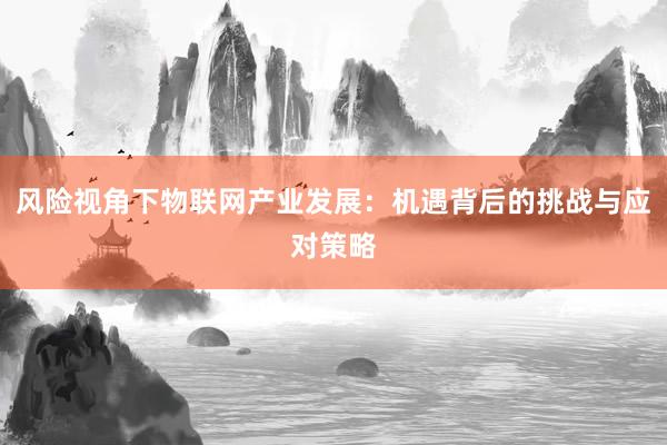 风险视角下物联网产业发展：机遇背后的挑战与应对策略