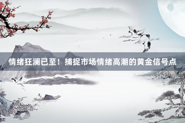 情绪狂澜已至!捕捉市场情绪高潮的黄金信号点