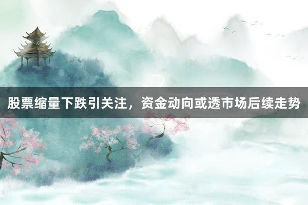 股票缩量下跌引关注，资金动向或透市场后续走势
