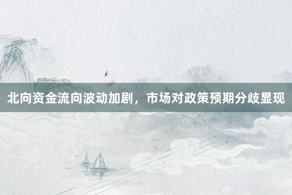 北向资金流向波动加剧，市场对政策预期分歧显现