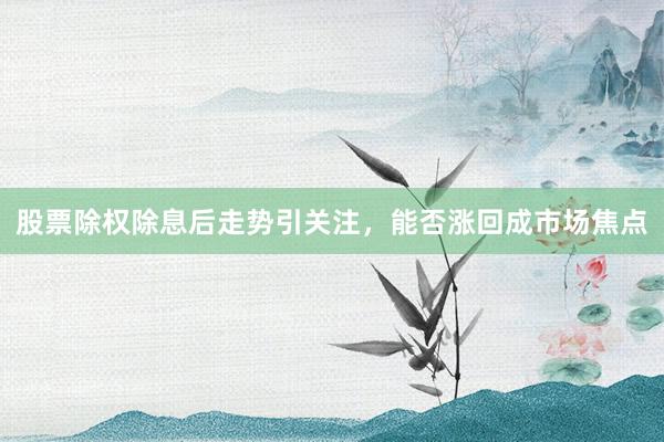 股票除权除息后走势引关注，能否涨回成市场焦点