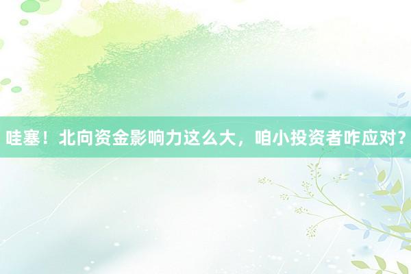 哇塞！北向资金影响力这么大，咱小投资者咋应对？