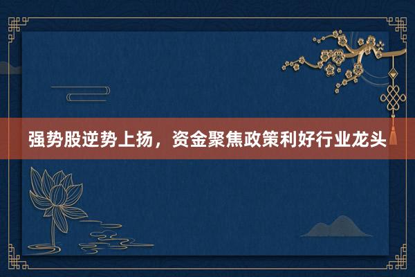强势股逆势上扬，资金聚焦政策利好行业龙头