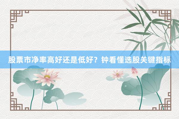 股票市净率高好还是低好？钟看懂选股关键指标