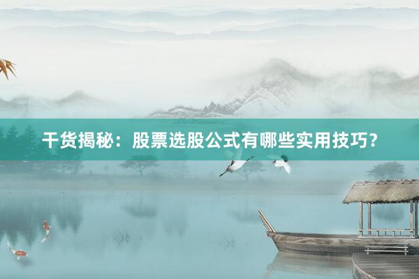 干货揭秘：股票选股公式有哪些实用技巧？