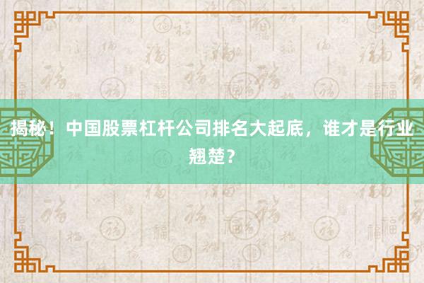 揭秘！中国股票杠杆公司排名大起底，谁才是行业翘楚？