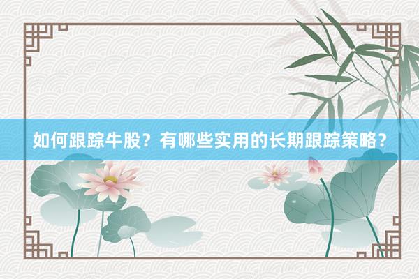 如何跟踪牛股？有哪些实用的长期跟踪策略？