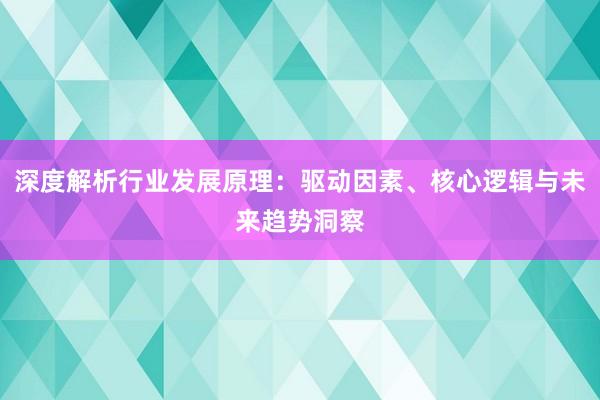 深度解析行业发展原理：驱动因素、核心逻辑与未来趋势洞察