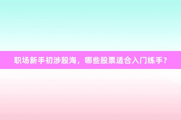 职场新手初涉股海，哪些股票适合入门练手？